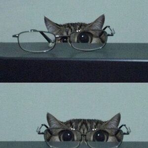 Meet your Posher, Tyra's